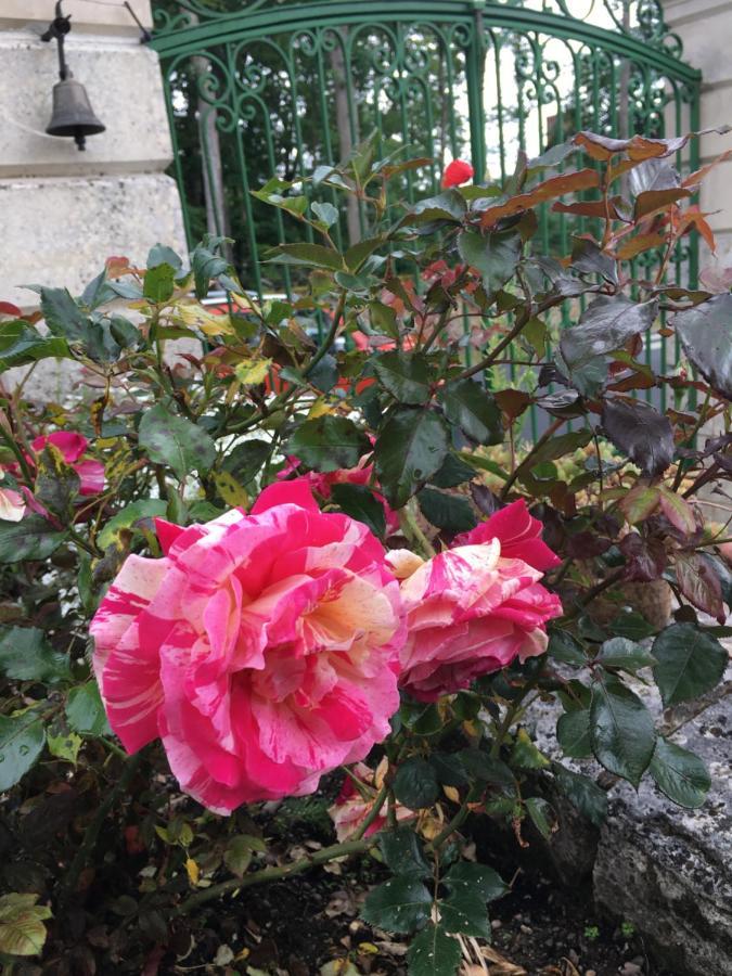La Valiniere Bed & Breakfast Seur Bagian luar foto